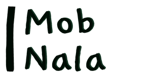 pi5_edited.png