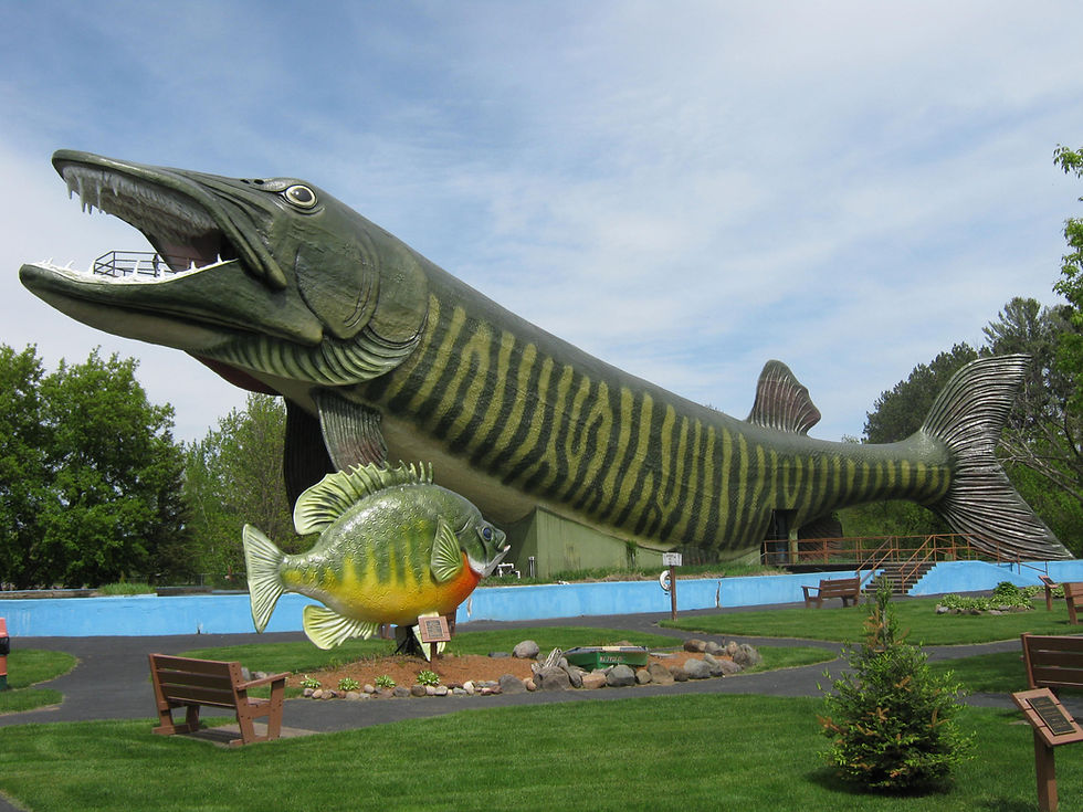 Big Musky May 2015.JPG