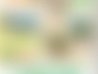 【イベント】恵那市笠置町での田植え体験&里山巡りツアー【2024年6月】