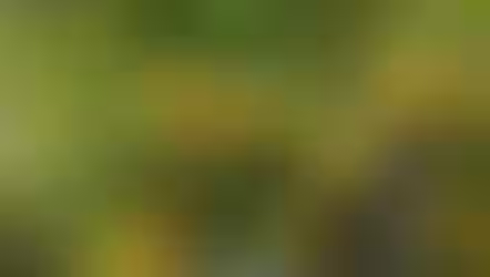 人員募集