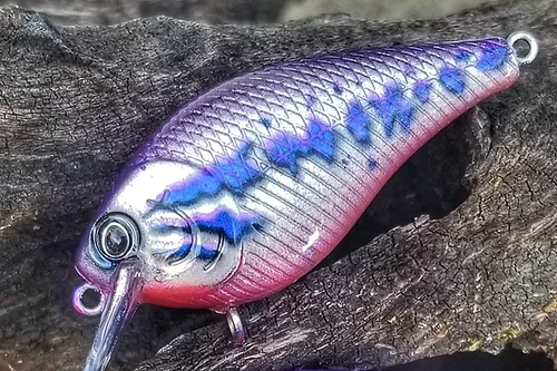 1.5 baby bass stencil - Image 2