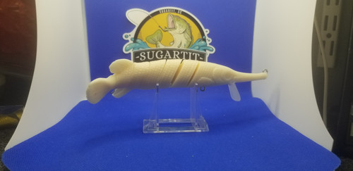 Alligator gar - Image 4