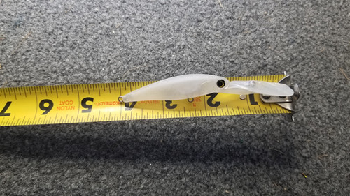 4" Flicker shad - Image 4