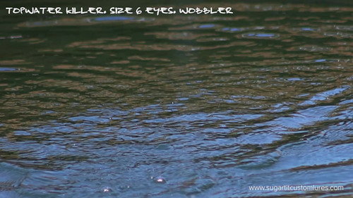 Fish killer - Image 2