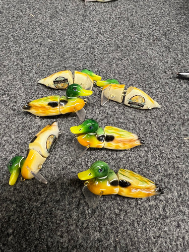 Hand painted duck wake