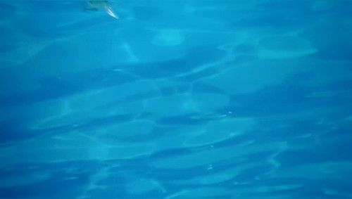 Medium wart type blank. - Image 4