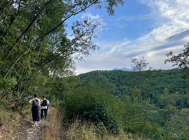 2E105521-A5A8-4D1C-A3BD-94AD4B602B50.jpeg