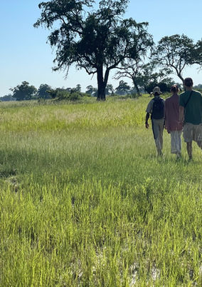 Okavango delta 