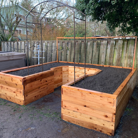 Custom cedar U-shaped raised garden bed with metal trellis for edible plants in Redmond backyard