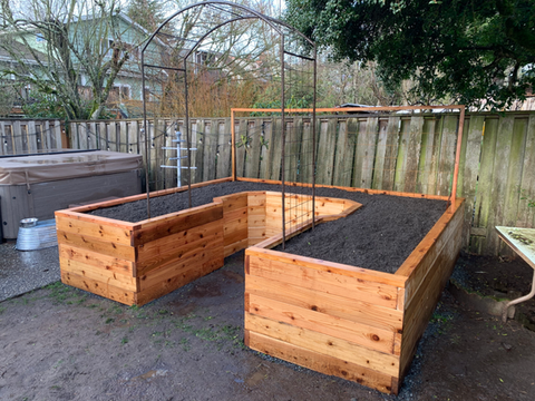 Custom cedar raised beds and trellis built in a backyard garden
