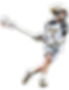 03.png