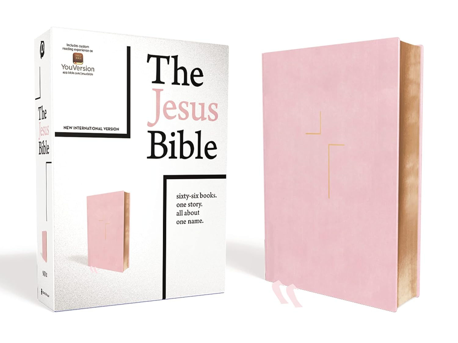 The Jesus Bible (NIV)