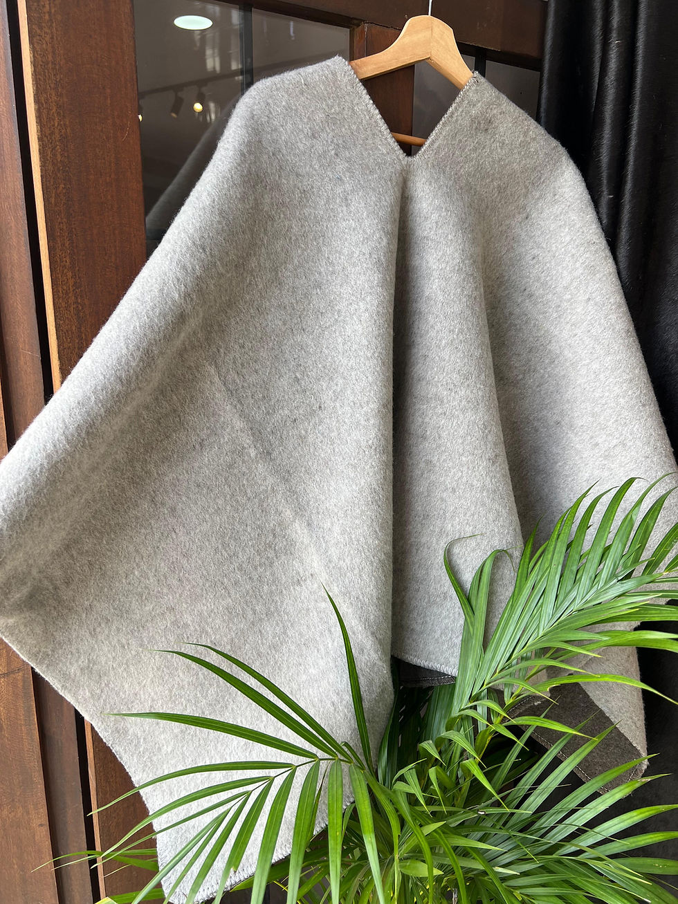 Miniatura: Ruana boyacense