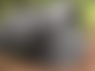 REVUE DE PRODUIT: Le RapidTanker de chez Caperlan