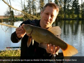 La pêche au feeder : une technique de précision active et efficace