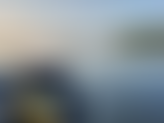 moteur electrique et sondeur vibrations