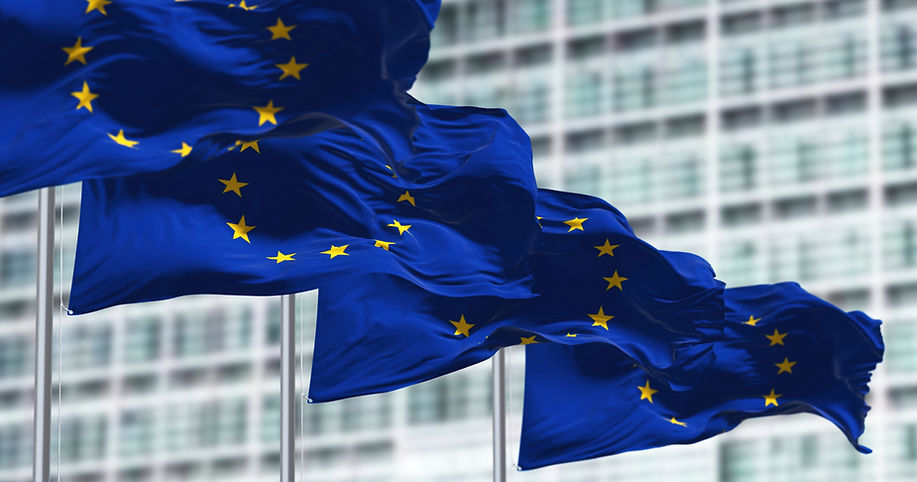 group of flags of the European Union waving in the wind in front of the European Parliamen