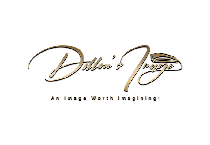 Dillon's Image HR BRONZE (1).png