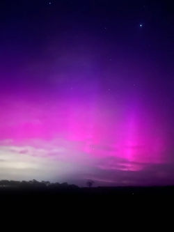 Only Leah was treated to this display (we were checking a sick animal in shifts).