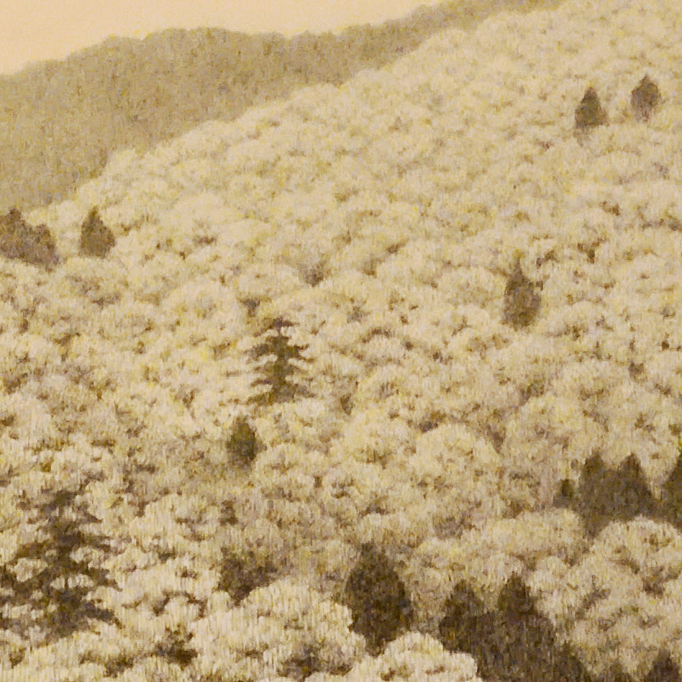 Thumbnail: Ryohei Tanaka (1933-2019) Mountain No. 1 Etching/Aquatint (Green) d2000 #53/100