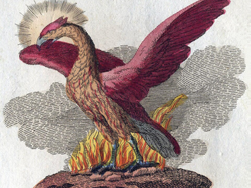 A depiction of the Phoenix