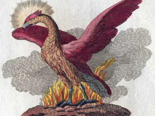 A depiction of the Phoenix