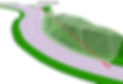 Sight4.png
