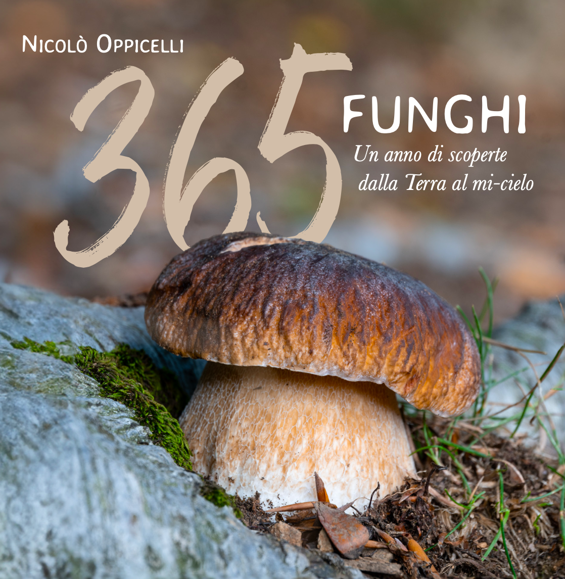 365 Funghi. Dalla Terra al mi-cielo - Bestseller #1