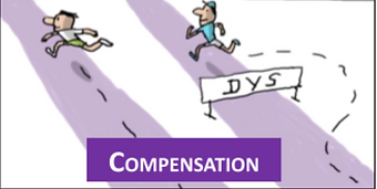 compensation_dys.png