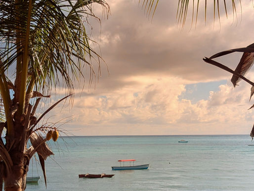 View of the ocean Zanzibar