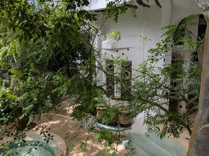 Yoga Retreat Kenya: My Watamu Treehouse Review