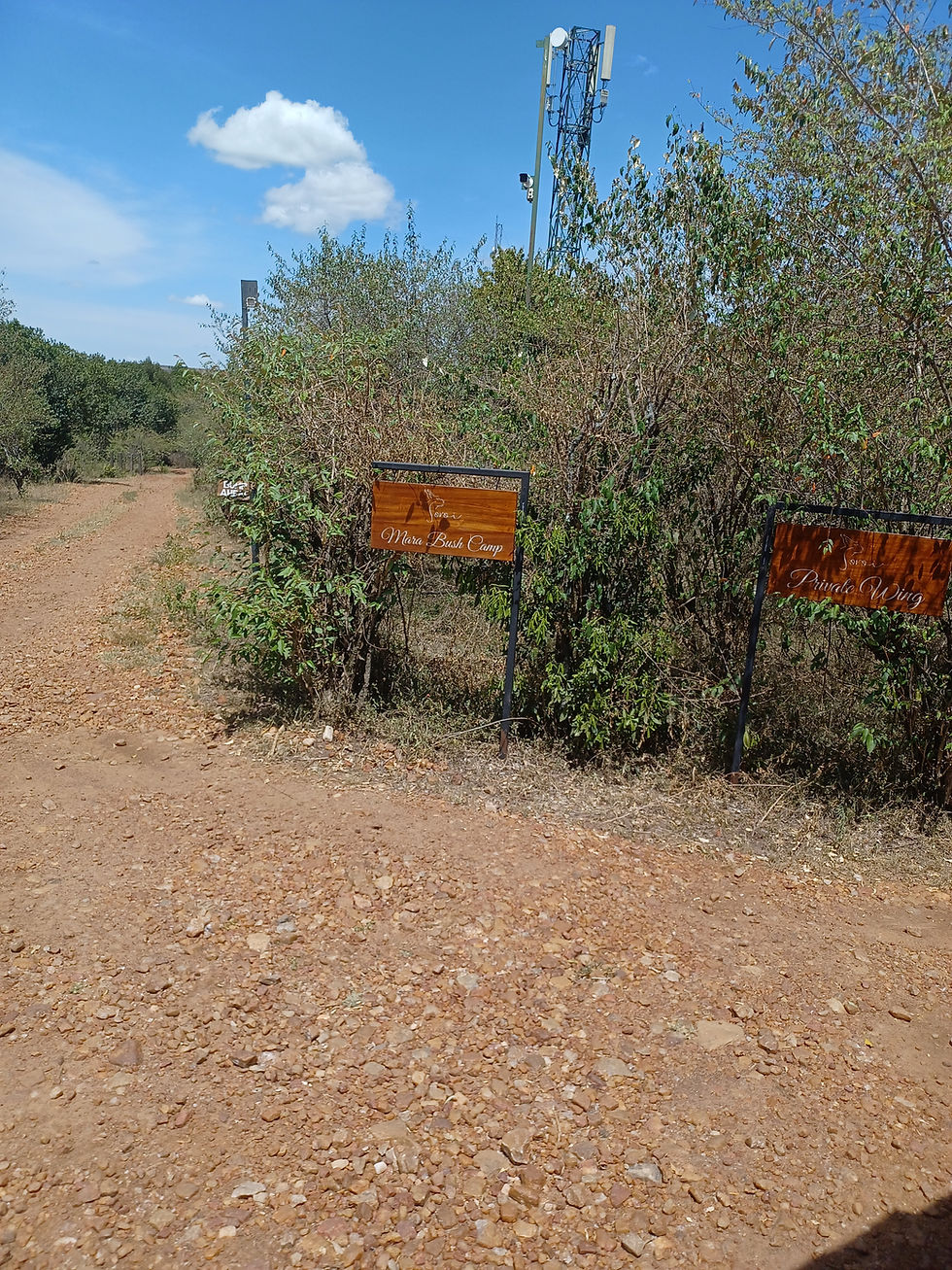 Soroi Mara Bush Camp arrival 8