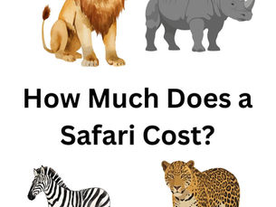 How much does a Safari Cost?