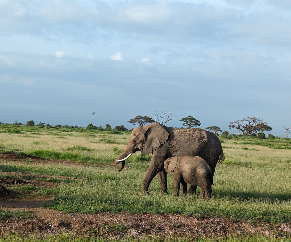Philanthropic Kenya Safaris benaroberts.com
