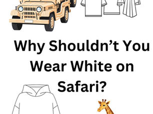 Why shouldn't you wear white on safari?