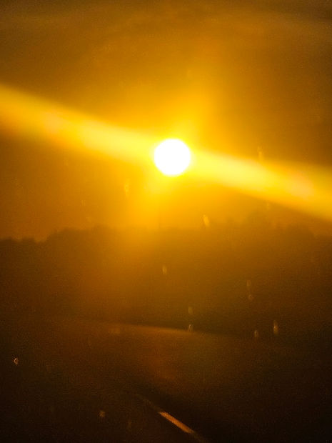 20260620_055335.jpg