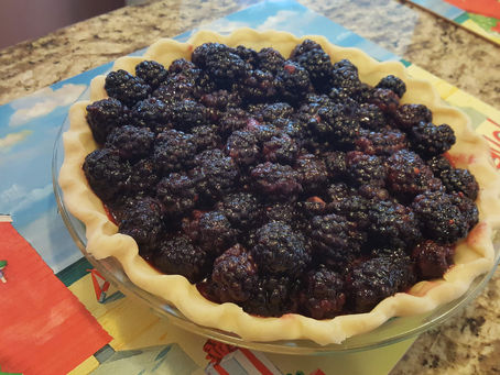 Fresh Blackberries Now Ripe for the Picking