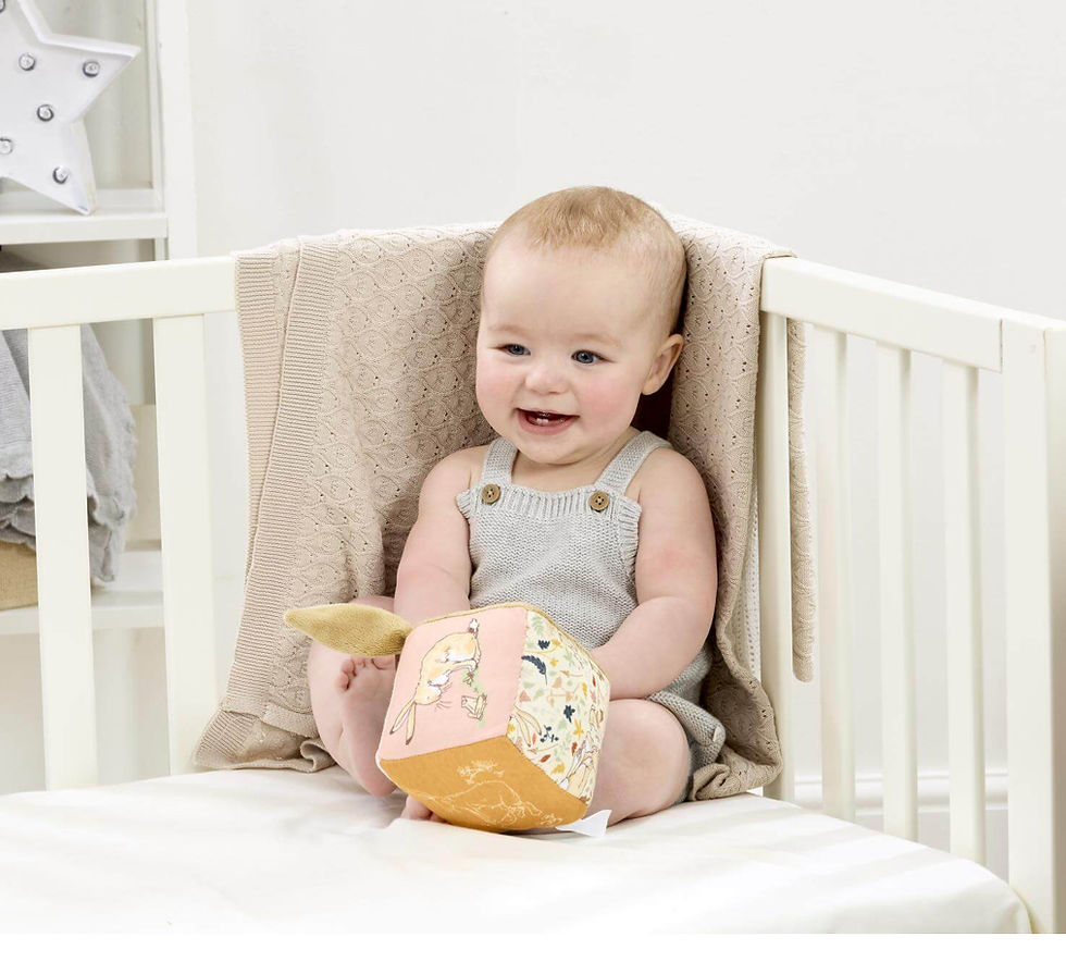 Thumbnail: Guess How Much I Love You Activity Cube