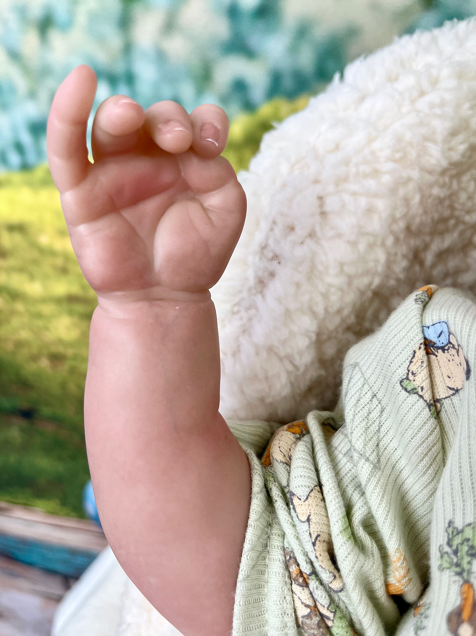 Thumbnail: Reborn Doll Mia & Baby Seat