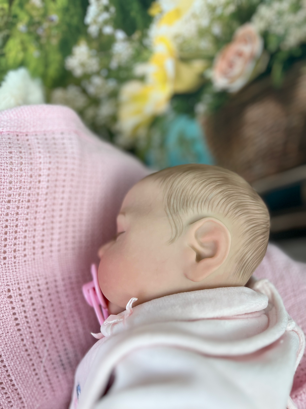 Thumbnail: Reborn Doll Peaches 