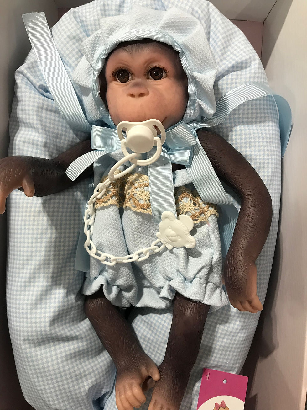 Thumbnail: Reborn Silicone Monkey - Rolo