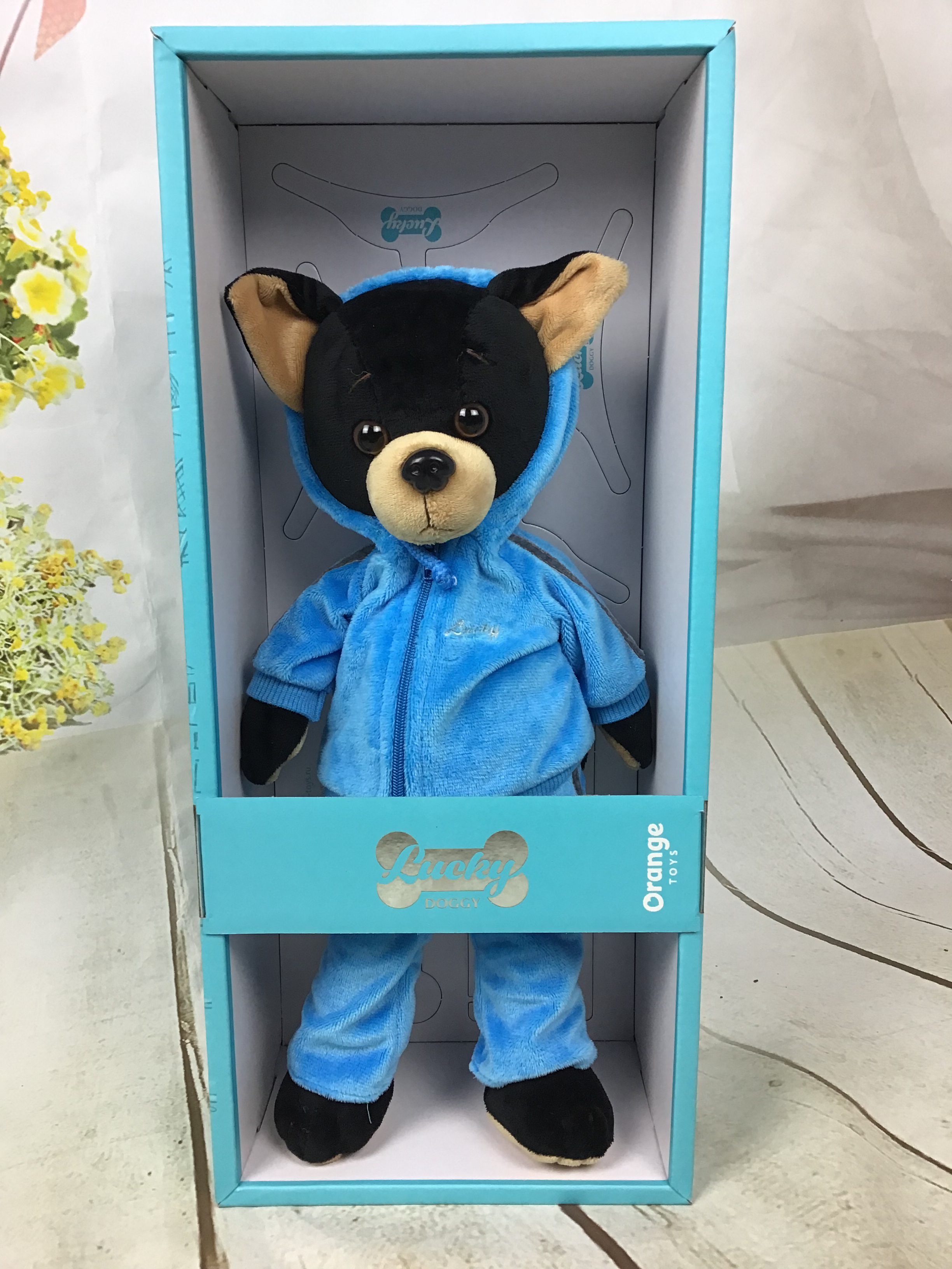 Luck Doggy Buzz Fitness