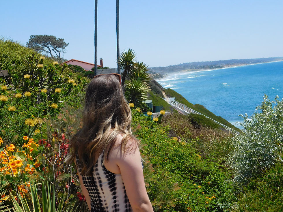 Enjoying Southern California View