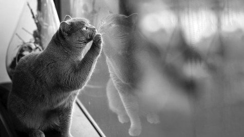 I am my friend