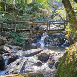 Douro - Erde, Schweiß und Trotz