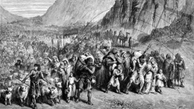 Exodus - The Musical?