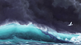 A dove in a biblical-esque storm 