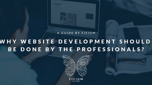 Why Website Development should be Done by the Professionals?