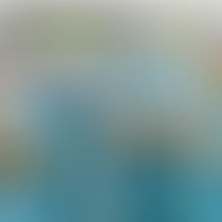 Medical exchange: overseas thoracic surgeons visit the institute of chest wall surgery