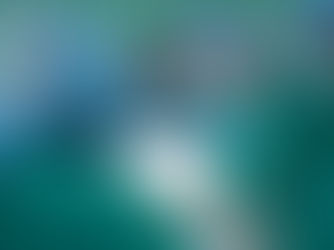 The 2nd “Latest Chest Wall Surgery Techniques Global Training Program”  is about to commence